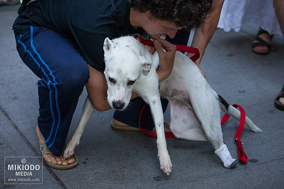 Broadway Barks 2014