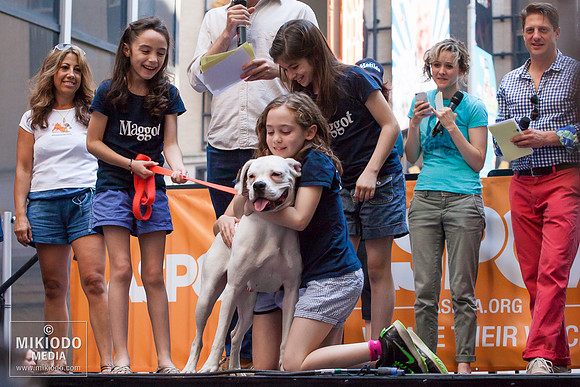 Broadway Barks 2014