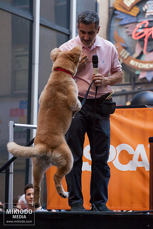 Broadway Barks 2014
