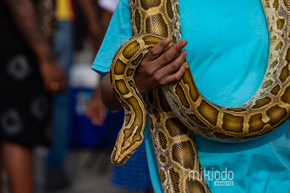 mikiodo250621_2801_LR