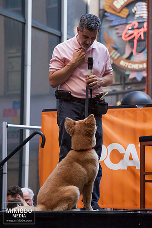 Broadway Barks 2014