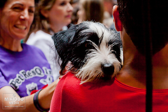 mikiodo130713_bwaybarks_3355_LR
