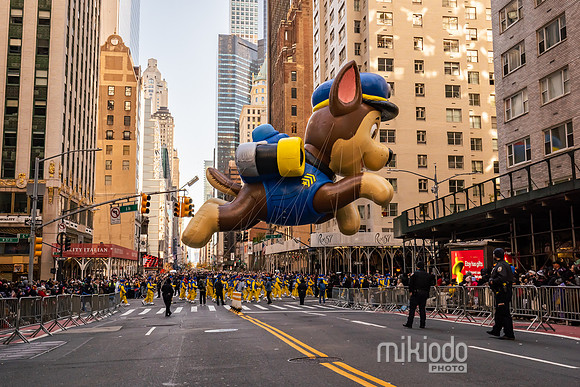 mikiodo231123_08882_LR