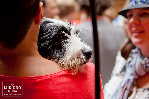mikiodo130713_bwaybarks_3356_LR