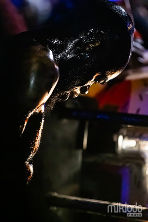 mikiodo250901_3162_LR