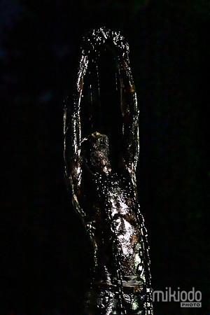 mikiodo250901_3220_LR