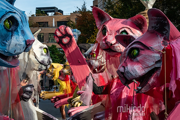 mikiodo241031_8366_LR