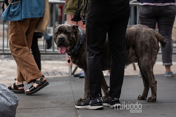 mikiodo240518_9905_LR