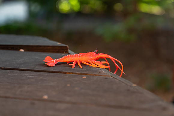 mikiodo250920_5870_LR