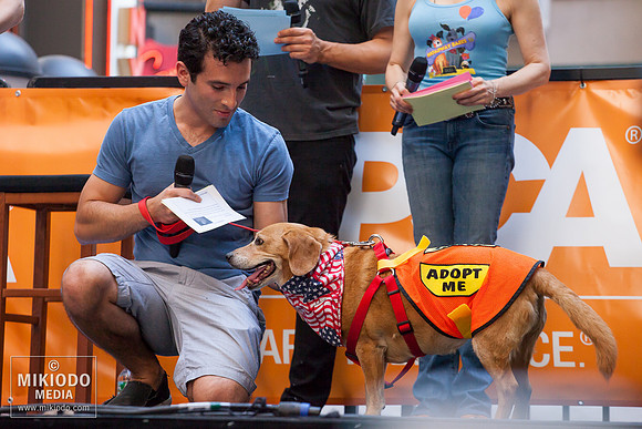 Broadway Barks 2014