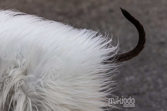 mikiodo251019_0209_LR