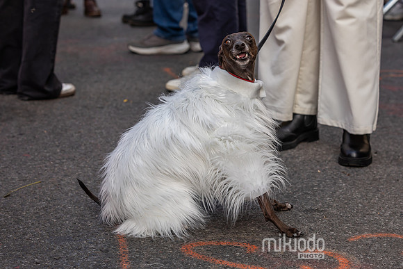 mikiodo251019_0212_LR
