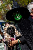 mikiodo251019_0245_LR
