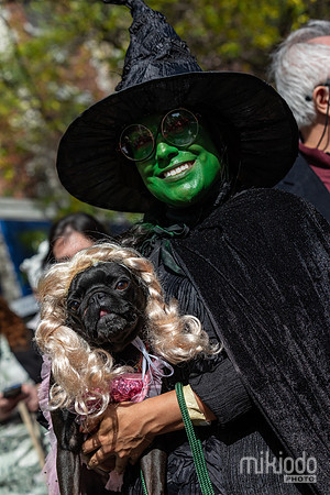 mikiodo251019_0245_LR