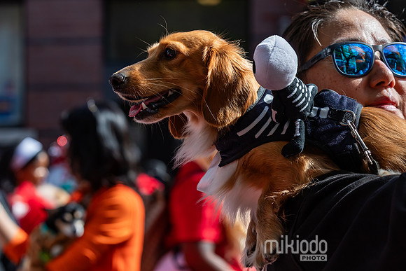 mikiodo251019_0256_LR