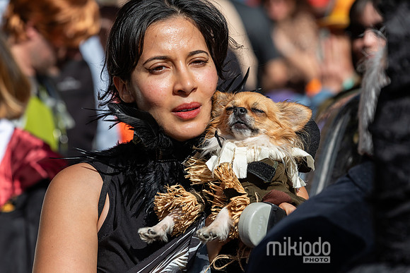 mikiodo251019_0229_LR