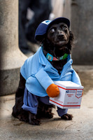 251019-26 Dog Halloween events