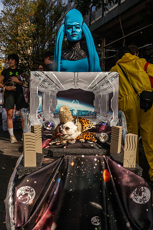 mikiodo251019_7743_LR