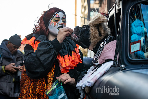 mikiodo251031_2050_LR