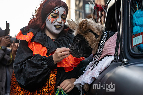 mikiodo251031_2048_LR