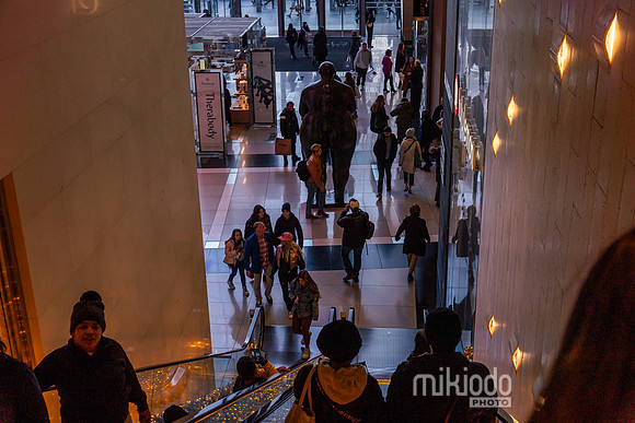 mikiodo241127_05535_LR