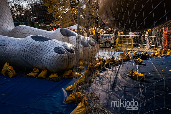 mikiodo241127_05578_LR
