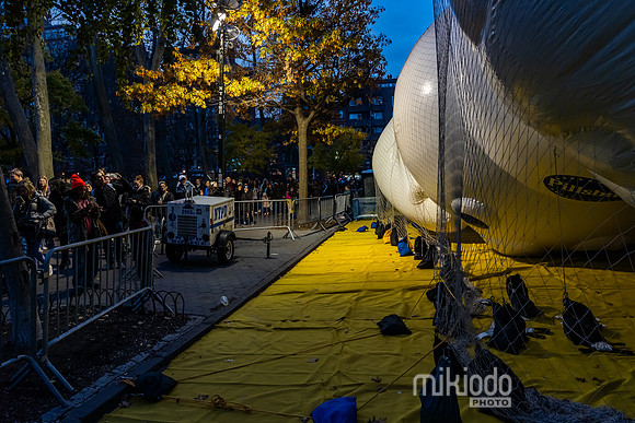 mikiodo241127_05589_LR