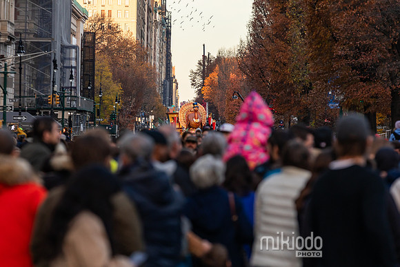 mikiodo241127_9224_LR