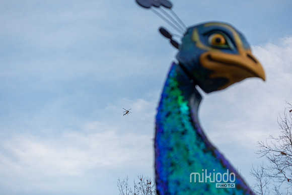 mikiodo241127_9252_LR