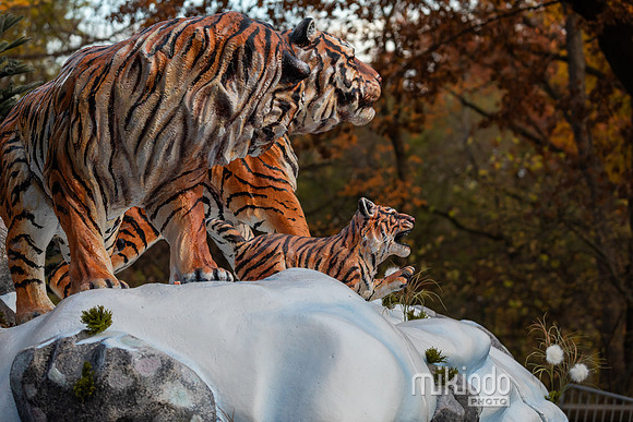 mikiodo241127_9248_LR