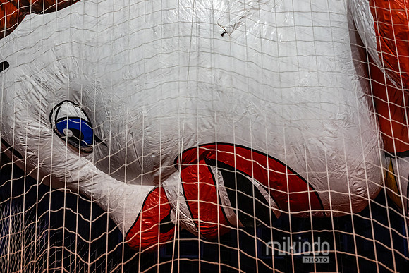 mikiodo241127_9264_LR