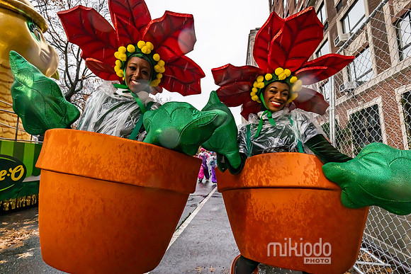 mikiodo241128_05795_LR
