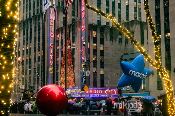 mikiodo241128_9936_LR