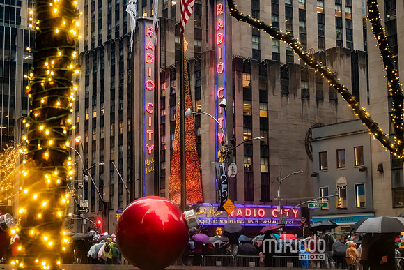 mikiodo241128_9938_LR