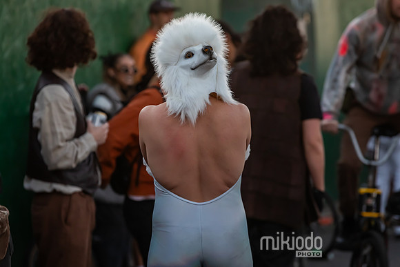 mikiodo241026_8233_LR