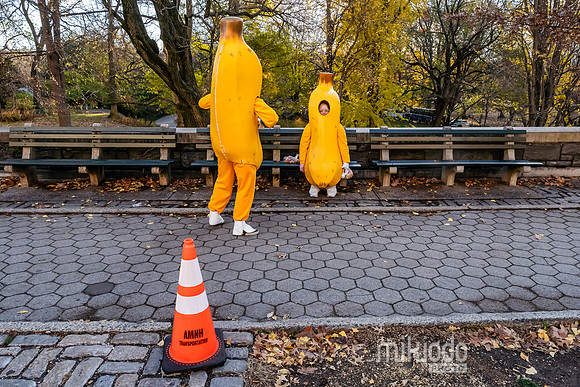 mikiodo251127_2151_LR