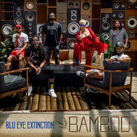 bamboo-single-cover-blueye_HR