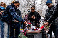 mikiodo251214_4241_LR