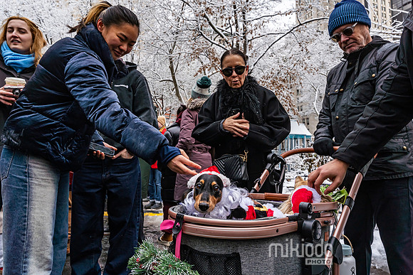 mikiodo251214_4241_LR