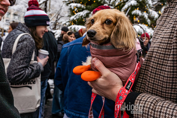 mikiodo251214_4242_LR