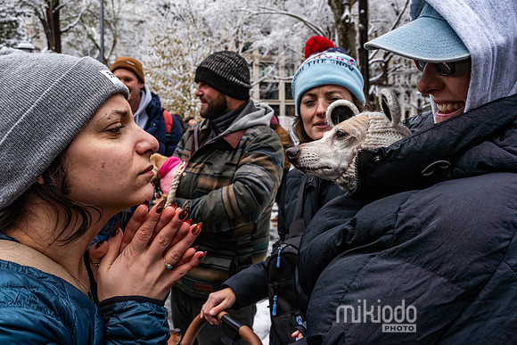 mikiodo251214_4258_LR