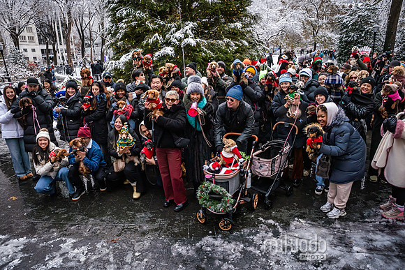 mikiodo251214_4265_LR