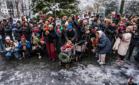 mikiodo251214_4274-Pano_LR