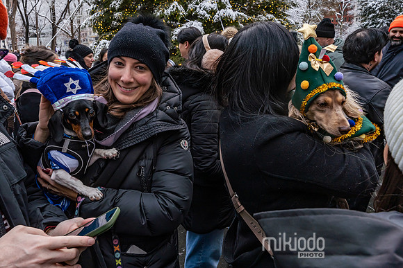 mikiodo251214_4285_LR