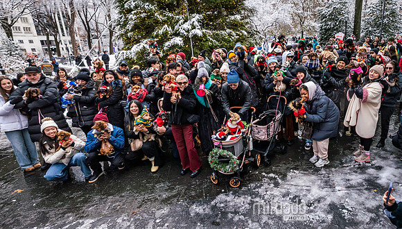 mikiodo251214_4279-Pano_LR