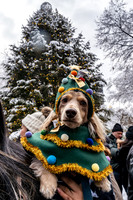 mikiodo251214_4289_LR
