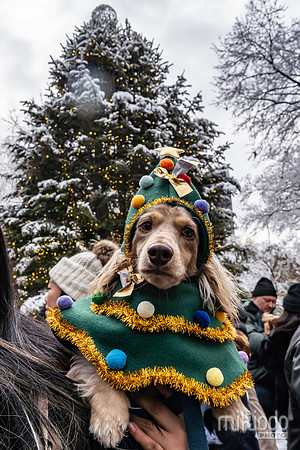 mikiodo251214_4289_LR