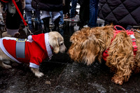 mikiodo251214_4295_LR