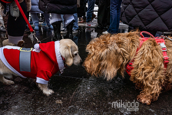 mikiodo251214_4295_LR