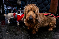mikiodo251214_4304_LR